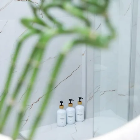 公寓 Lux Maison De Constantin *